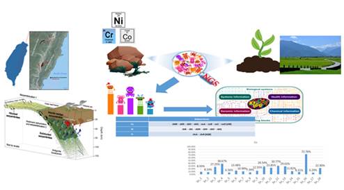 Microbiological interaction in the mineralosphere