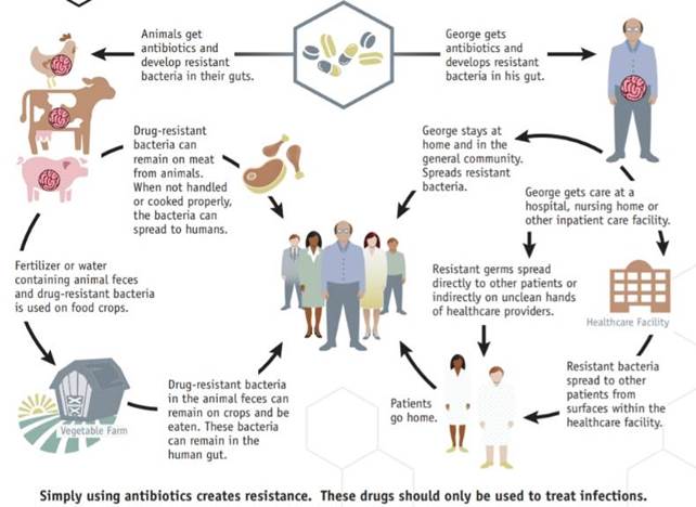 “GeoHealth” approach