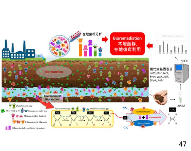 Soil and groundwater biological remediation combined with geological technology