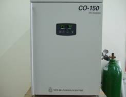 二氧化碳培養箱CO2 incubator