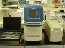 即時定量PCR溫度循環控制器Real-time quantitative PCR temperature cycle controller