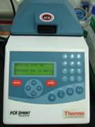PCR溫度循環控制器PCR Temperature Cycler