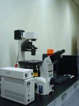 螢光顯微鏡Fluorescence Microscope