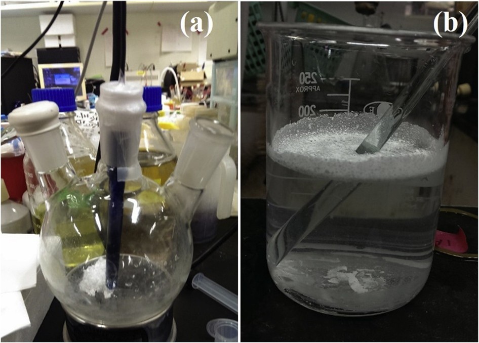 實驗照片,疏水性方解石顆粒製備過程照片,研究人員展示形成中的材料