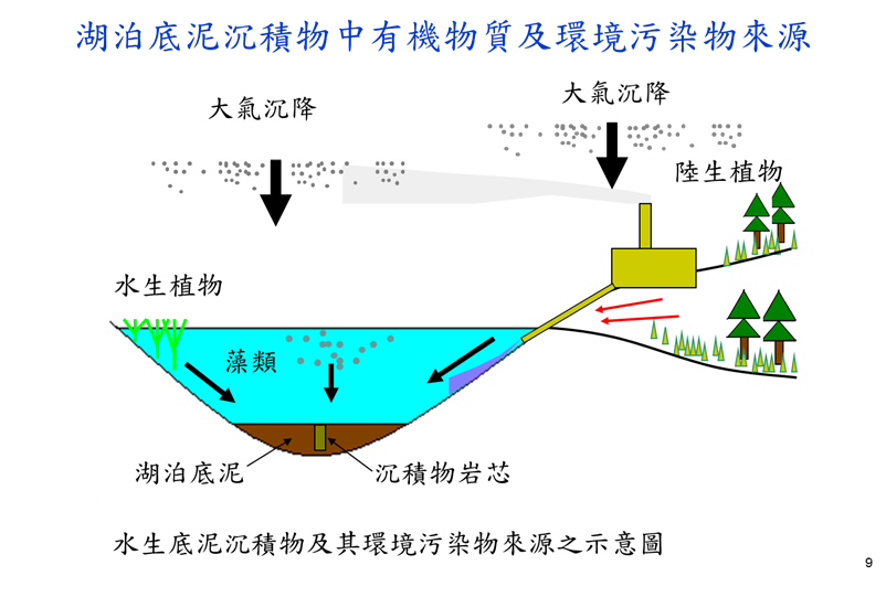 湖泊底泥沉積物中有機物質及環境污染物來源示意圖
