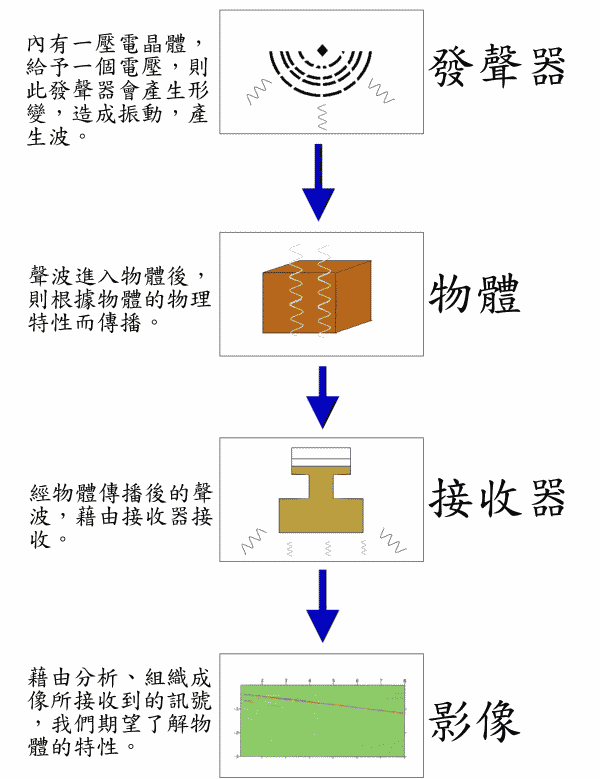 聲學實驗流程示意圖，詳情請見圖下方文字