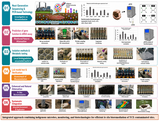 Soil and groundwater biological remediation combined with geological technology